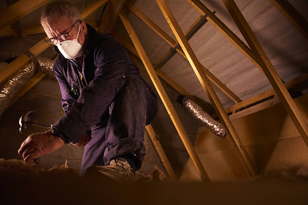 Best Insulation Maintenance and Repair in Milford, NE
